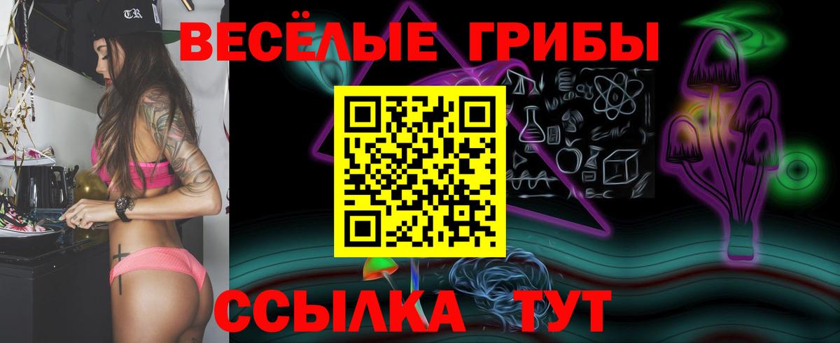 где можно купить   Галлюциногенные грибы Magic Shrooms  Вход с VPN  Тулун 